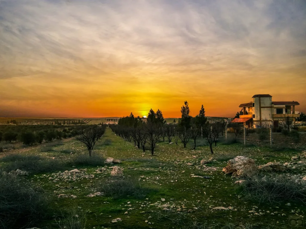 Nieruchomość - Zbycie lub nabycie nieruchomości, pomoc prawna w każdym aspekcie transakcji - Doświadczeni Adwokaci Rzeszów
